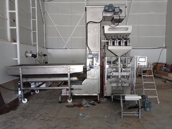 Modular & PVC Belt Conveyor